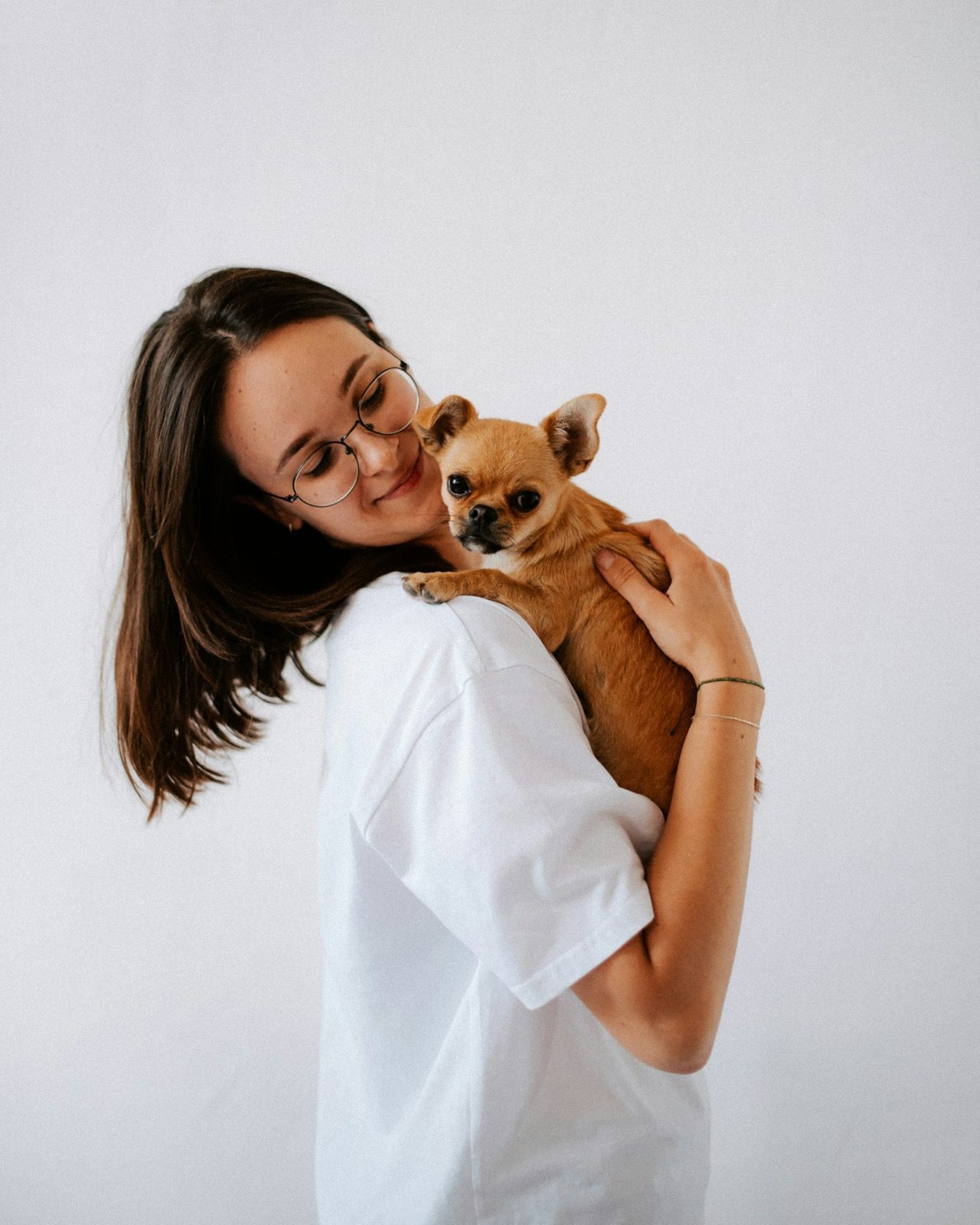 Moderne Website für eine Tierarztpraxis, Beispielansicht: Tierärztin mit Brille und weißem Oberteil hält einen kleinen hellbraunen Chihuahua im Arm und lächelt ihn an